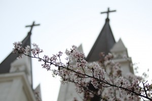 今年は桜が遅いですね。まるでこのブログの更新に付き合ってくれているような・・・。今年度、静岡のフットサル界はどんな1年になるのでしょうか？「神のみぞ知る」って事でしょうね。  みなさん、今年度もよろしくお願いいたします。